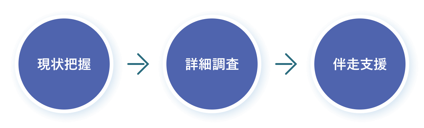現状把握　詳細調査　伴走支援